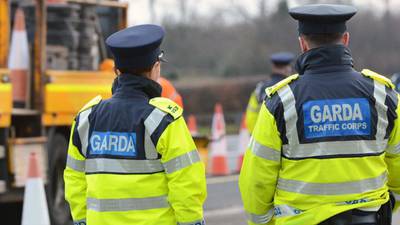 Gardaí search airports, ports  for Wexford hit and run suspects