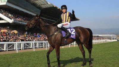 O’Faolains Boy ruled out of the Grand National