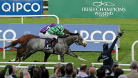 Bumper crowd expected for Leopardstown Champion Stakes