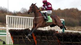 De Bromhead retains high hopes for Identity Thief
