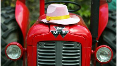 Ten vintage Massey Fergusons stolen from premises in Co Down