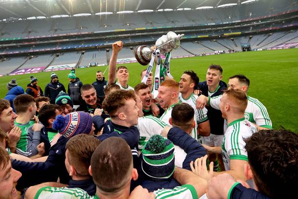 Supreme Ballyhale stroll to another Leinster crown