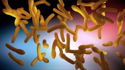What is botulism and how is it caused? Condition explained after Bordeaux outbreak