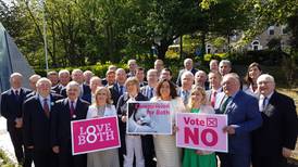Cross-party group of politicians calls for No vote in referendum