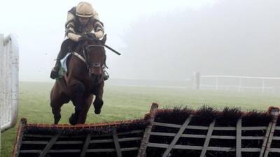 Nichols Canyon emerges from Punchestown fog to win Morgiana Hurdle