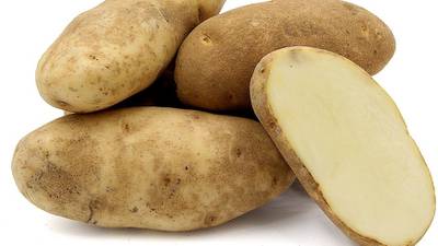 Irish potato industry could be mashed by Brexit seed ban, Minister told