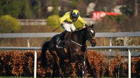 Leopardstown return on the cards for Good Land following impressive day four display