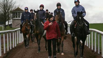 Ballydoyle stables appeals excessive working ruling to Circuit Court