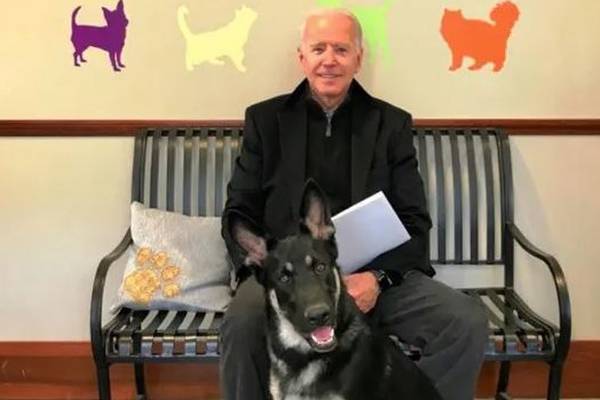 Biden fractures foot after slipping while playing with his dog
