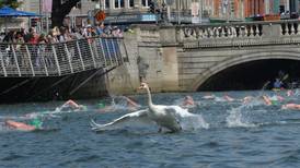 Hundreds of swimmers take a dive for Dublin’s Liffey Swim