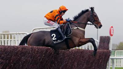 Thistlecrack’s  Gold Cup preparations gather pace