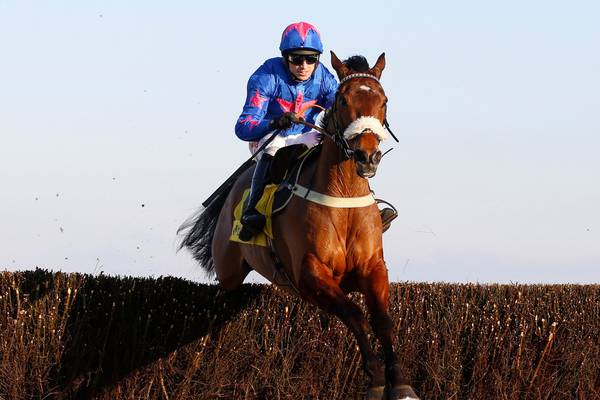 Cue Card displays Cheltenham credentials with Ascot Chase win