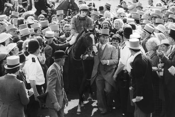 Shergar, 40 years on: Codenames, kidnap, clairvoyants and a brutal end to a beautiful racehorse