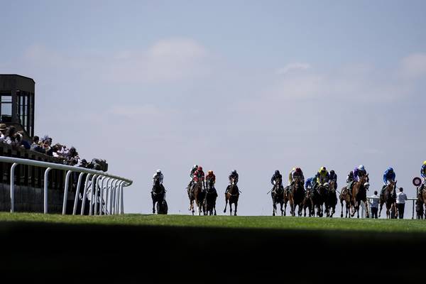 TV programme to examine what happens to racehorses after they finish racing
