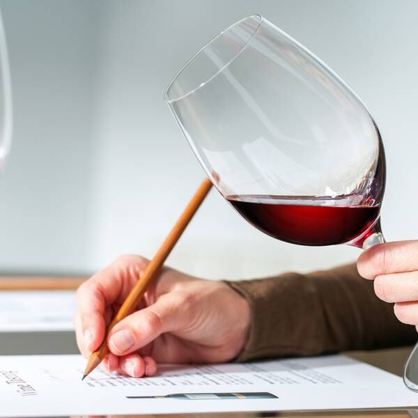 Six benchmark wine types to improve your palate