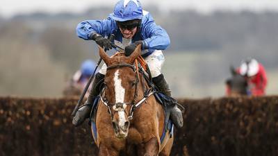 Focus on horses’ welfare switches to Midlands National at Uttoxeter
