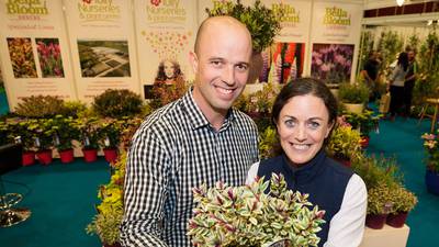 Branching out helped Tully Nurseries to grow again