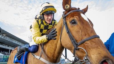 Punchestown preview: State Man out to make another statement of intent  