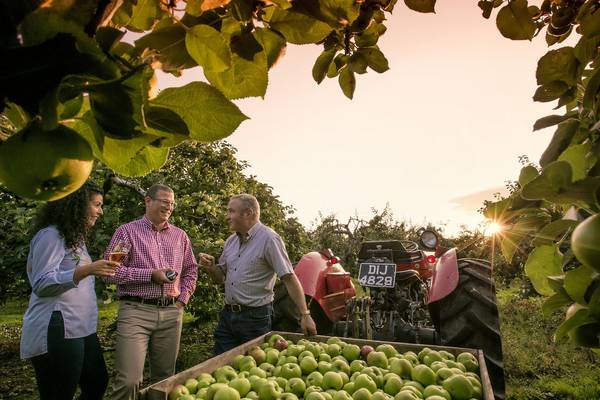 Apples lie at the core of Armagh, the Harvest County