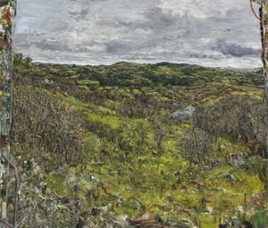 アート・デザイン・音楽 The Irish Light: A Collection of Landsca アート・デザイン・音楽 The Irish Light: A Collection of