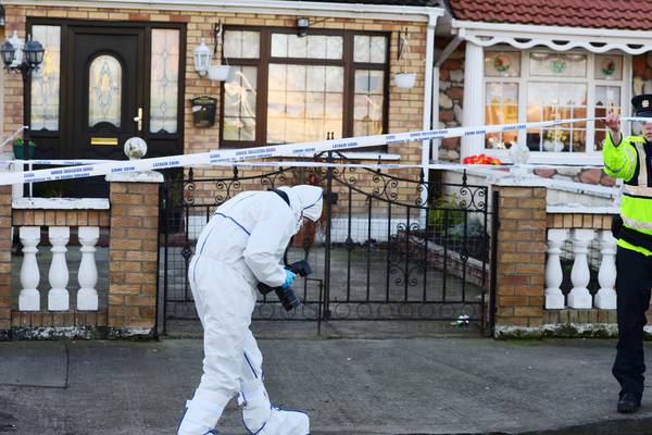 Woman (72) who was stabbed may not have been target