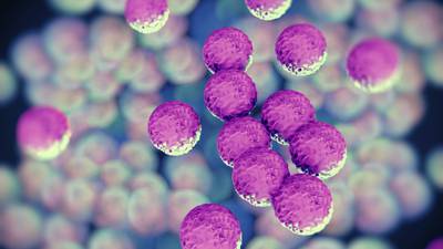 Potentially fatal superbug sparks 30% rise in cases 