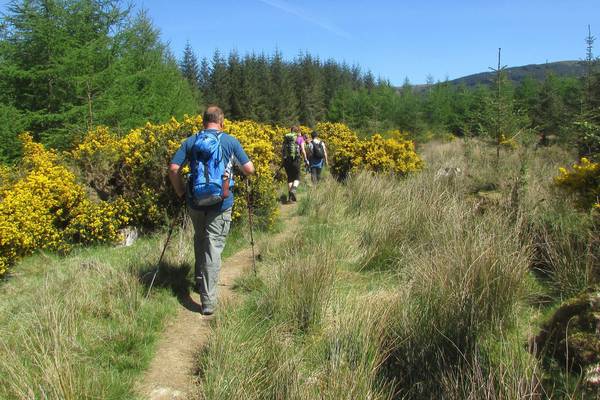 A pilgrim’s walk in Wicklow