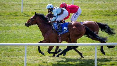 Trainers eye up Derby contenders at Ballysax Stakes in Leopardstown