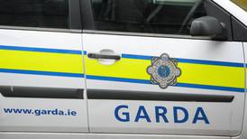 Gardaí right to  strike upheld by Council of Europe