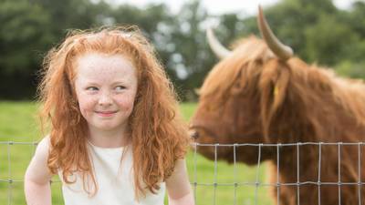 Redhead festival hopes to welcome thousands to Co Cork
