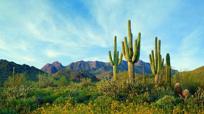 Arizona: a small piece of unforgettable heaven