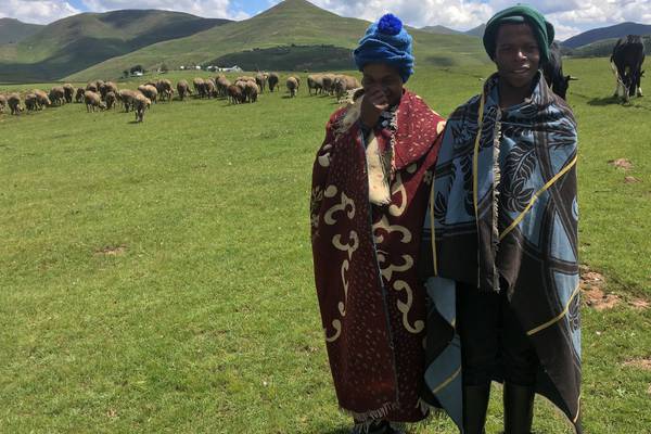 Modern-day St Patricks: the child shepherds of Lesotho