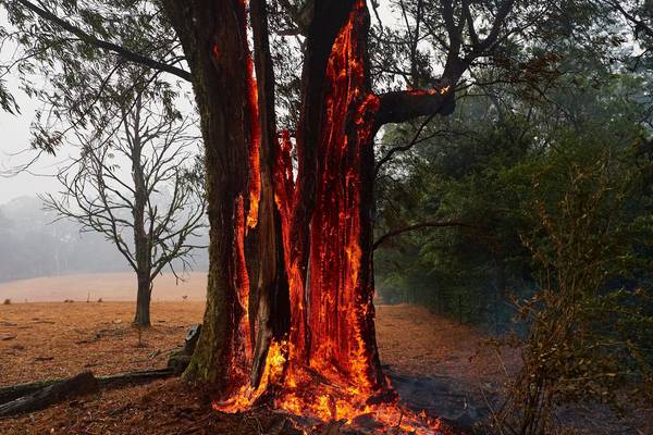 No rubber soles, no nylon clothes - Irishwoman in Australian bushfires