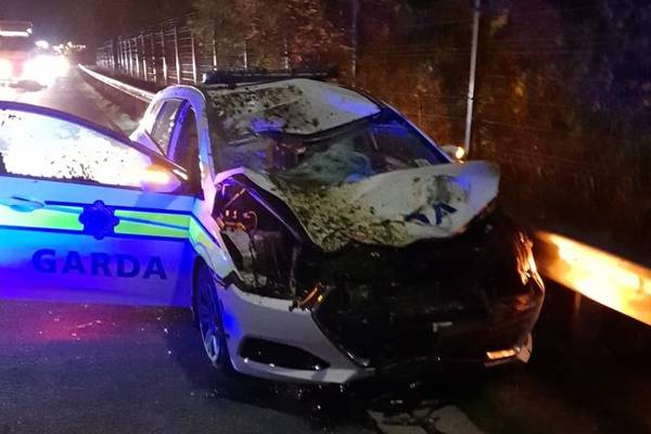 Two gardaí injured after patrol car hits stray horse on motorway