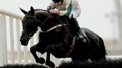 Robin Des Foret flies the flag for Mullins in Cheltenham feature
