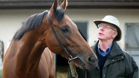 John Oxx should have success with Born To Be at Fairyhouse