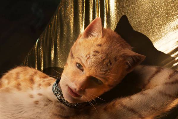Will the fur fly when Cats  finally hits our screens?