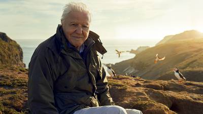 Wild Isles: Quibbles about ‘our British Isles’ melt away in the face of David Attenborough’s passion