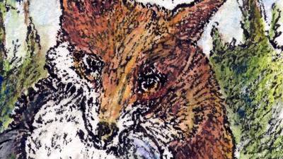 Another Life: The fox as he dwells among us