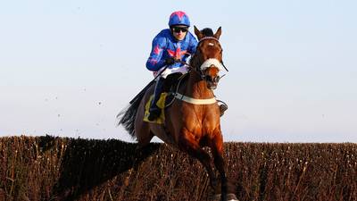Cue Card displays Cheltenham credentials with Ascot Chase win