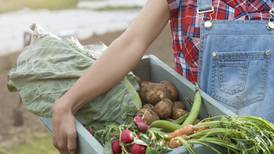 Organic food: is it really worth the extra expense?