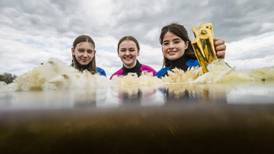 2022 BT Young Scientist & Technology Exhibition to go virtual