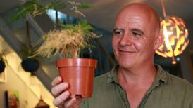 Conor Pope gets a houseplant ‘jungalow’ to mind – it doesn’t end well
