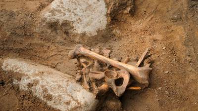 Skeleton  in playground may be 16th-century pirate