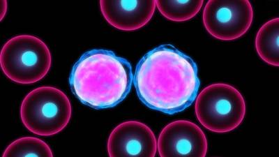 No known cause but leukaemia survival rates are on the rise