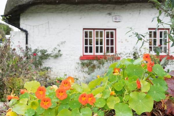 Self-catering in Ireland: Share your experience – good or bad – of holiday rental