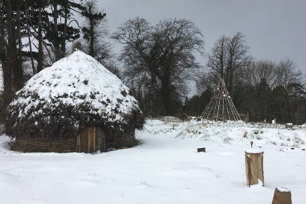 Medieval hut at UCD burned down in ‘arson’ attack