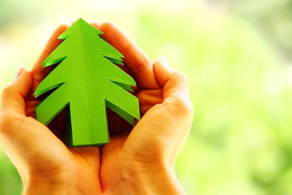 Have a green Christmas – gift ideas for the sustainable shopper