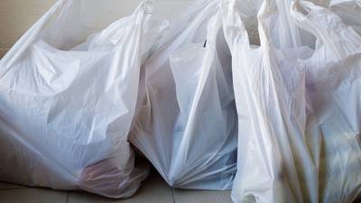 Plastic bag use in English shops falls 83% since levy introduced