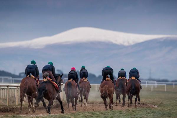 Horse Racing Ireland cuts deficit by a quarter